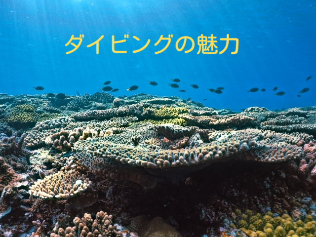 �_�C�G�b�g,�ʔ�,��1����,FX,�҂�,�ȒP�ɐߖ�,�T�����[�}���ł��ł���,OL�ɐl�C���N�@